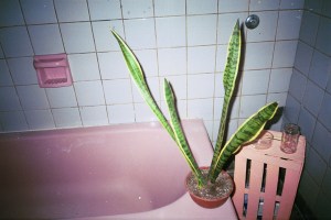 marisolcastinovilla002